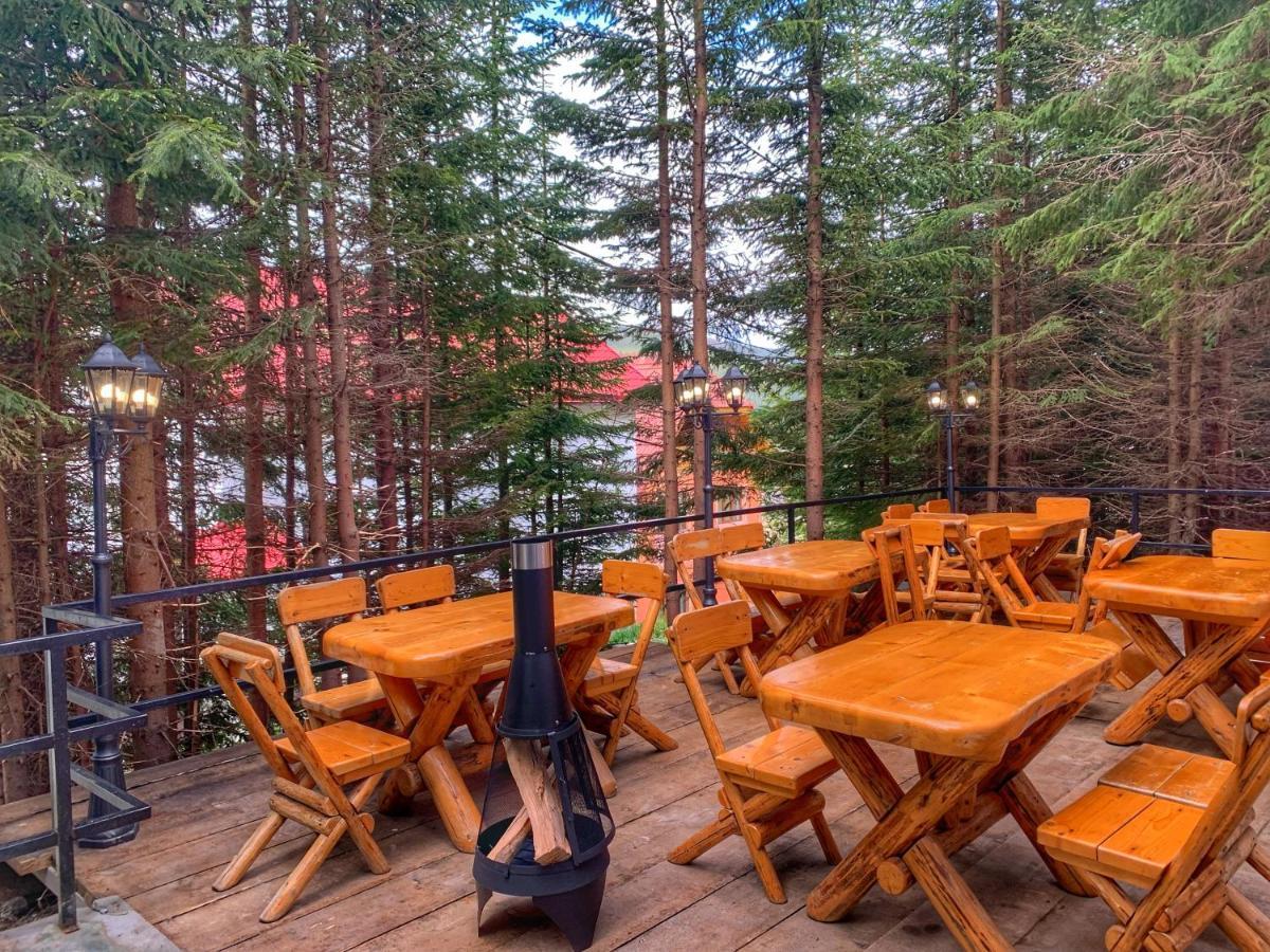 Altitude Guest House Rânca Extérieur photo