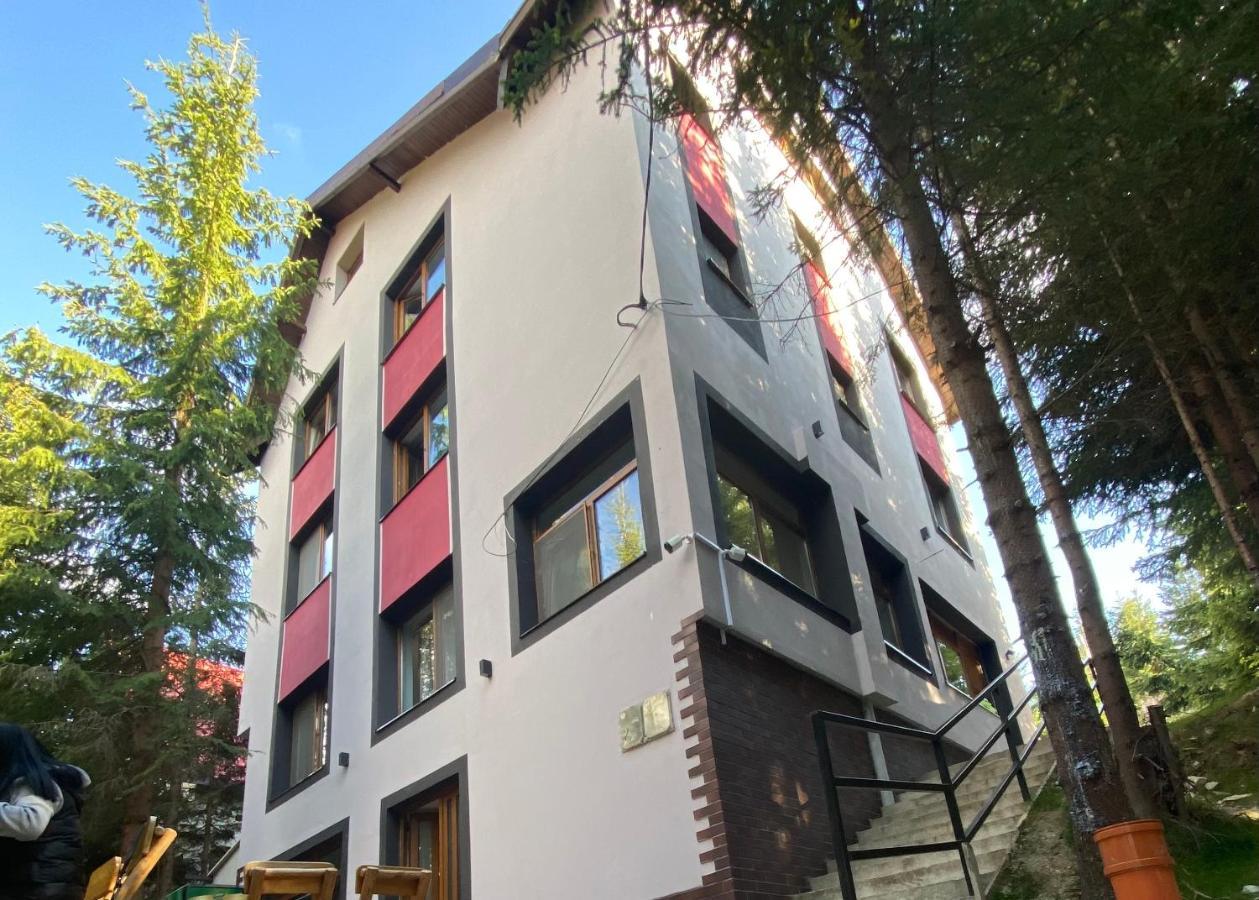 Altitude Guest House Rânca Extérieur photo